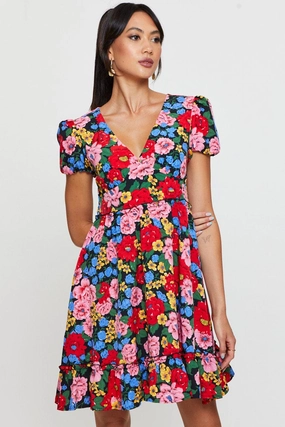Print Fit And Flare Dress Short Sleeve V Neck