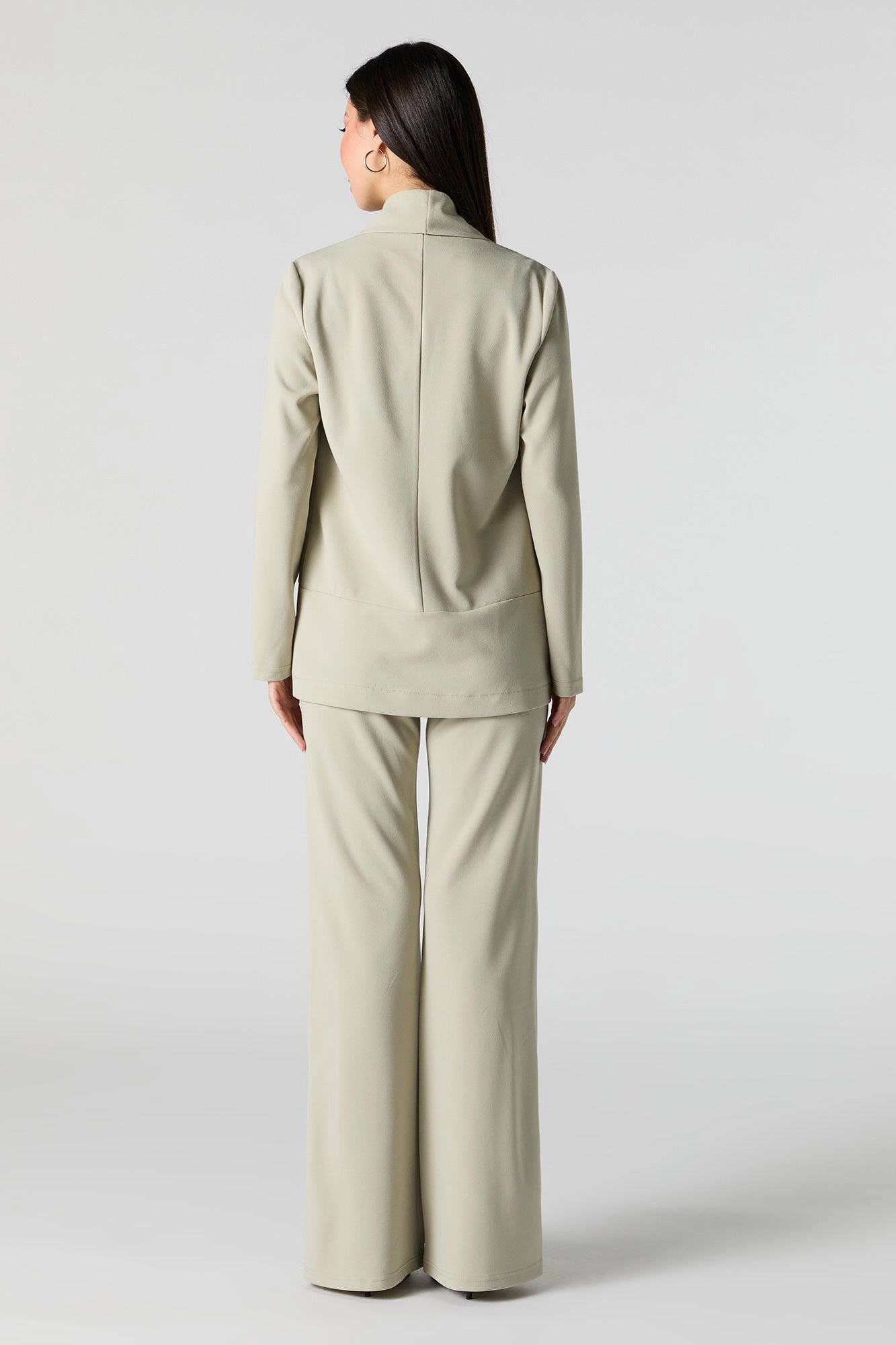 V Waist Wide Leg Dress Pant
