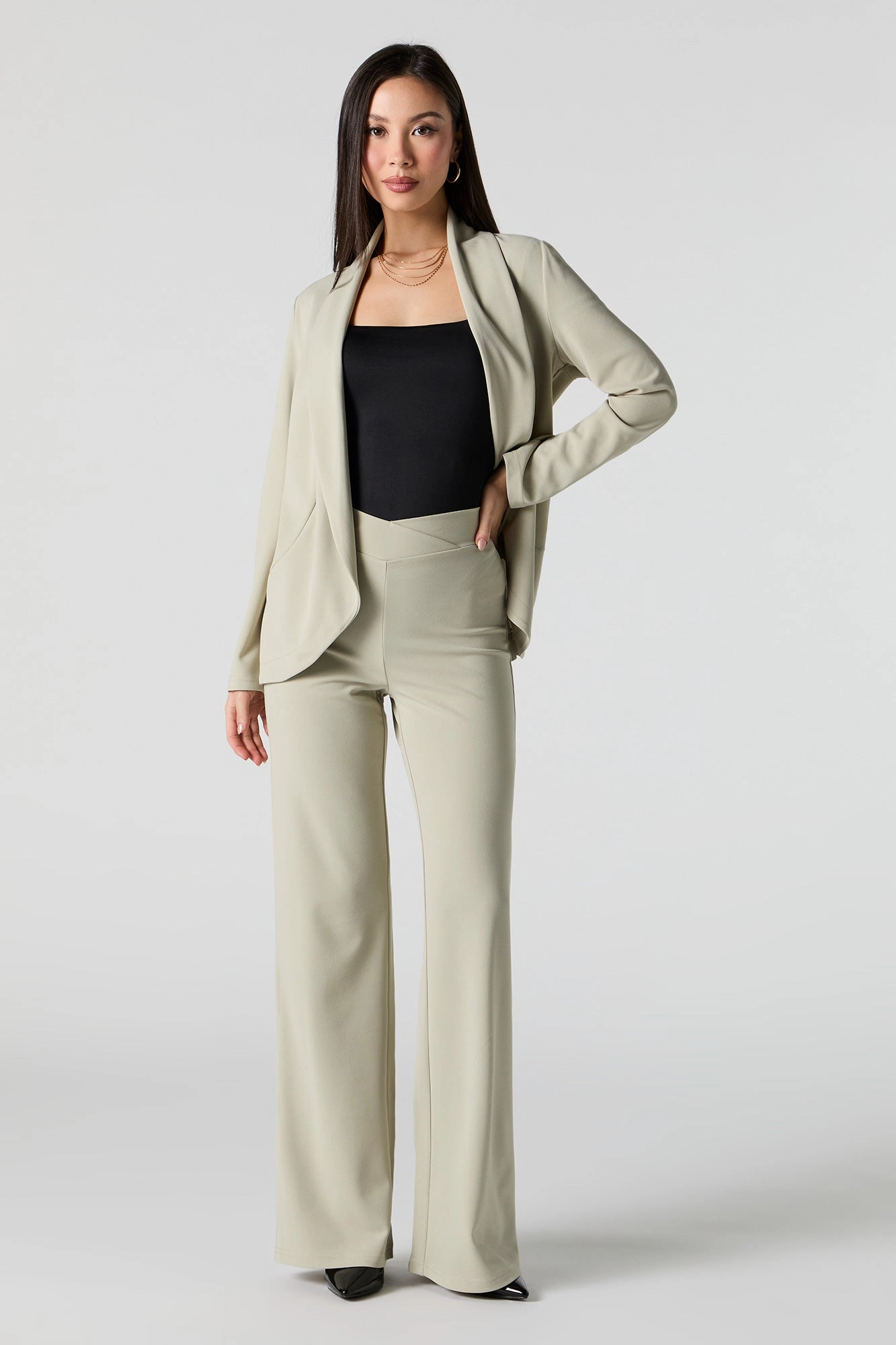V Waist Wide Leg Dress Pant