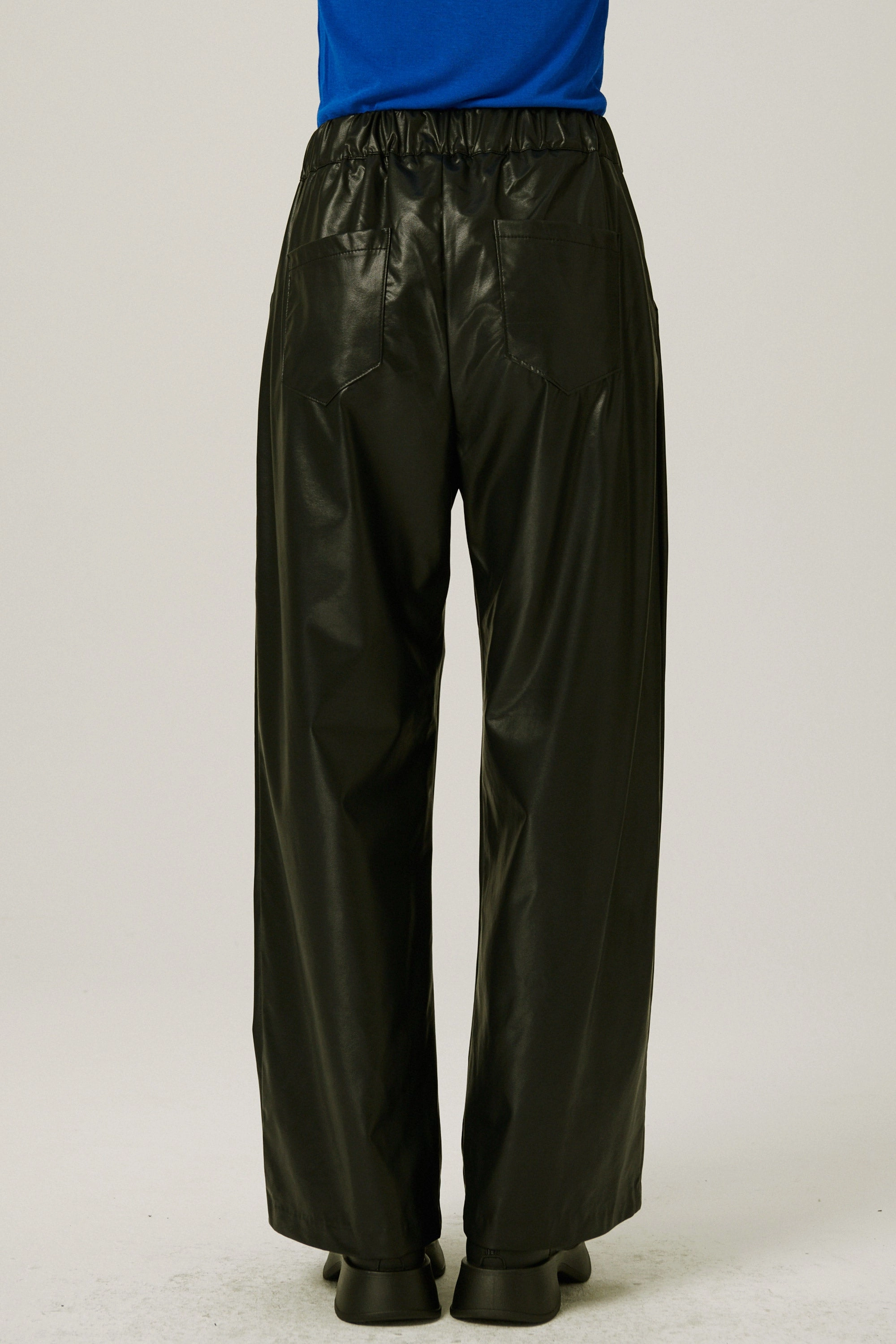 Wilder Pleather Pants